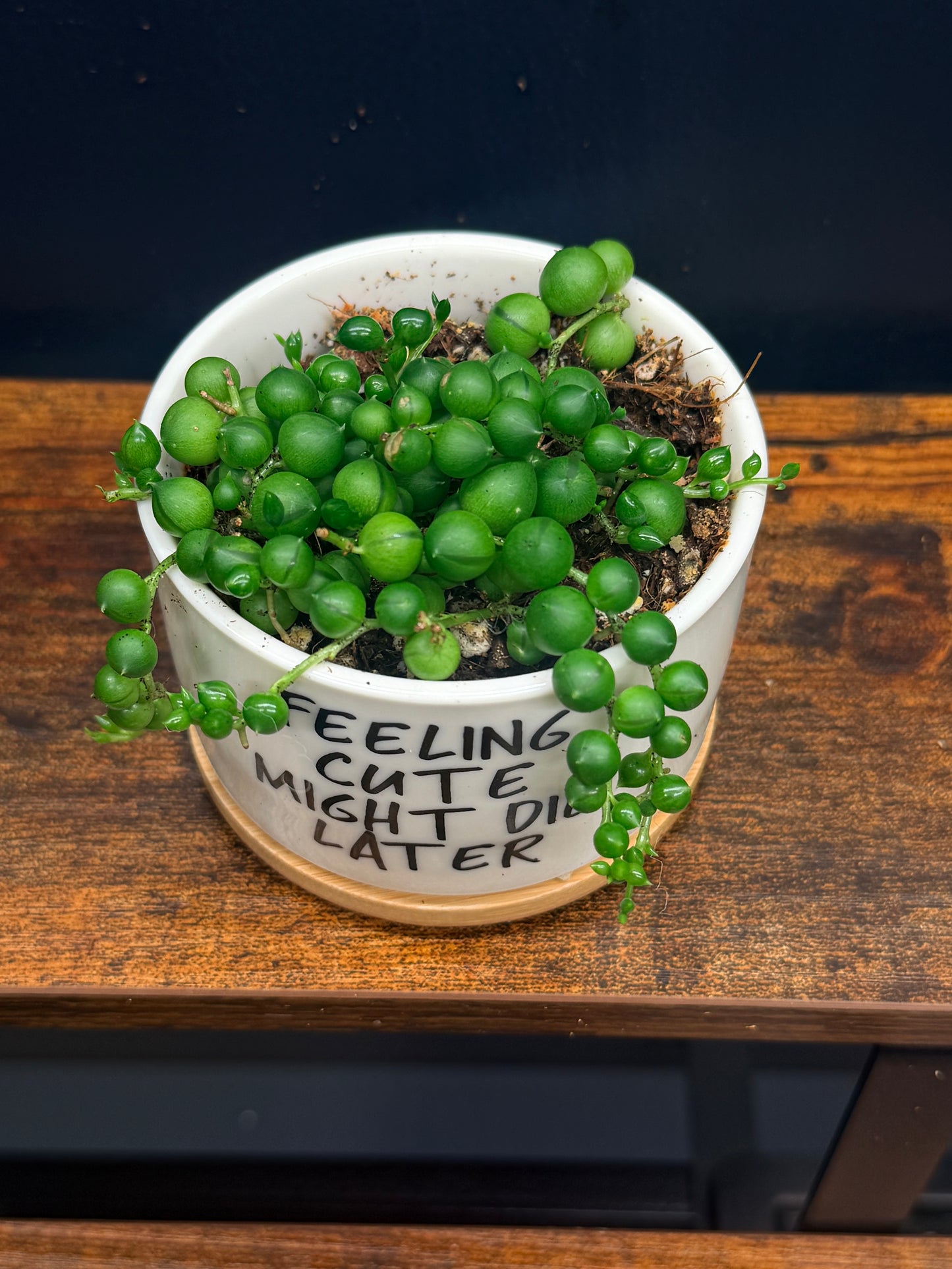 String of Pearls