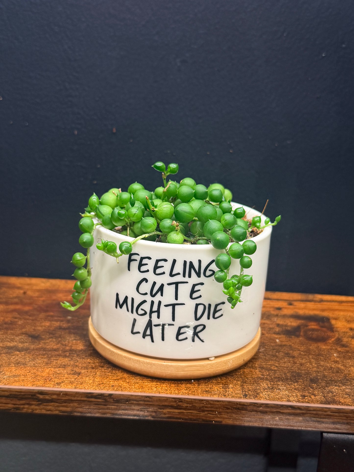 String of Pearls