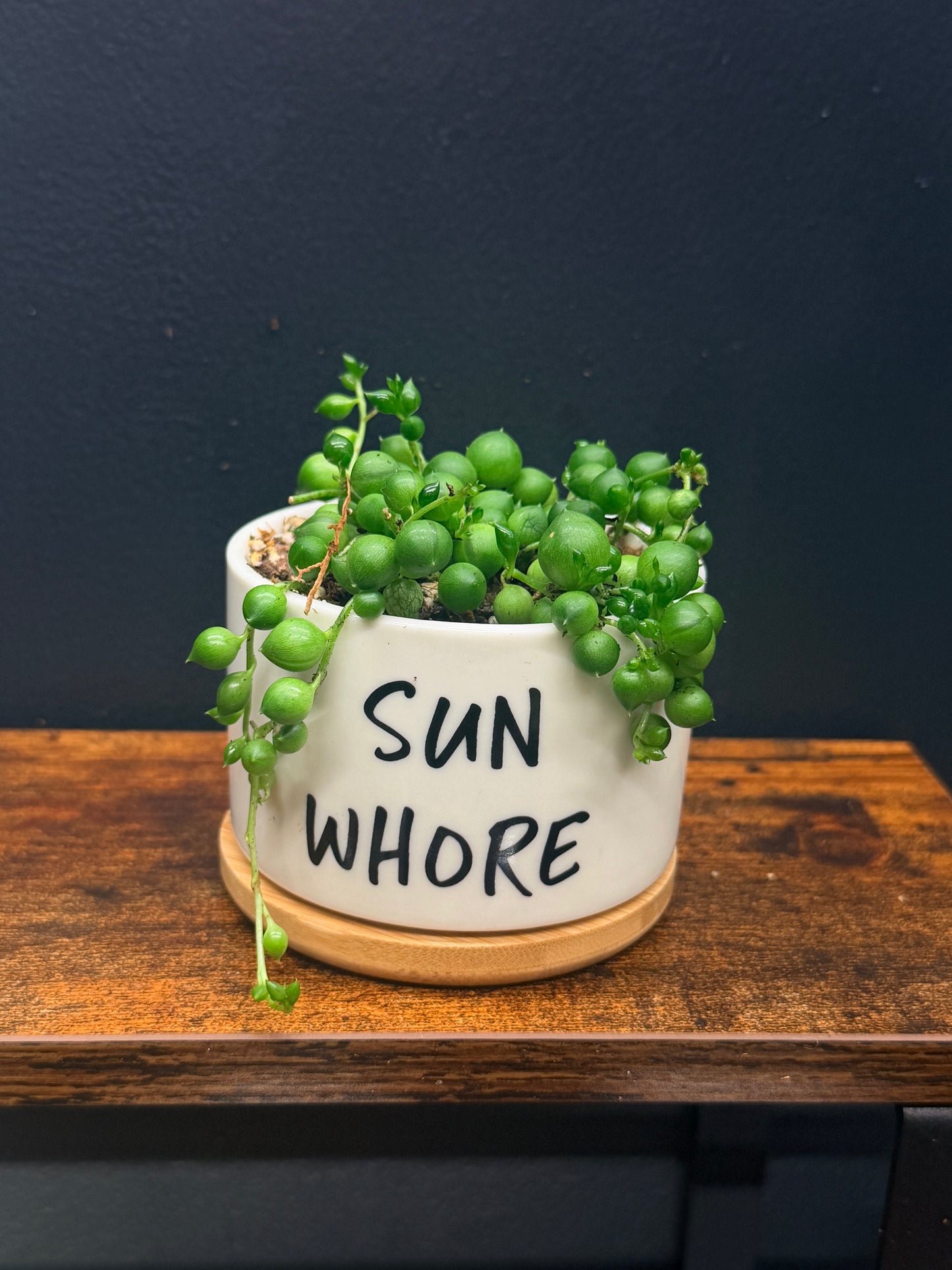 String of Pearls